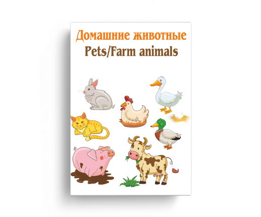 Animale domestice thumb-image 2