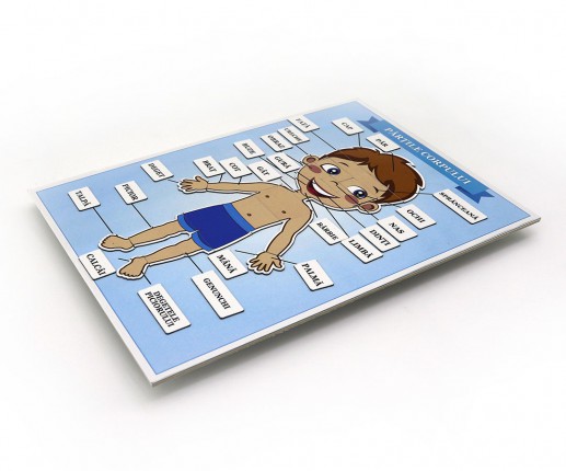 BODY PARTS thumb-image 2