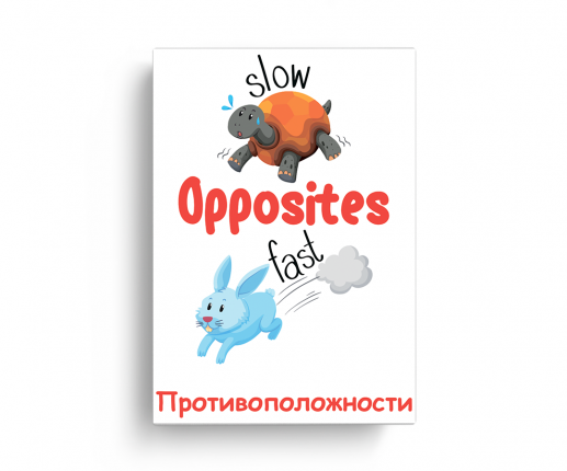Opposites thumb-image 2