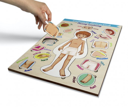 Anatomia distractivă - Părțile corpului - băiețel thumb-image 2