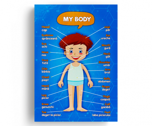 Anatomical systems - boy thumb-image 2