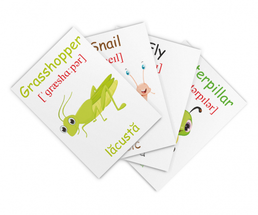 Insecte și reptile thumb-image 2