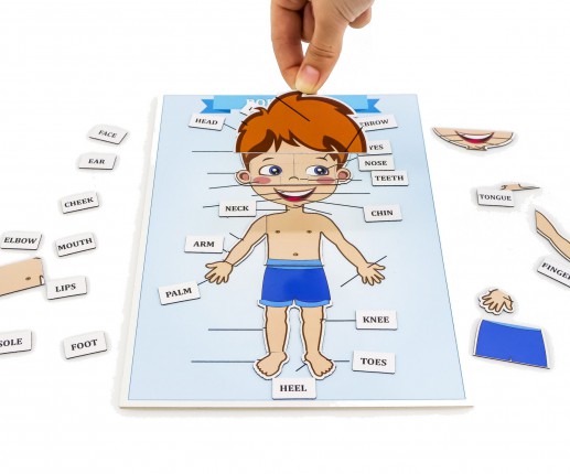 BODY PARTS thumb-image 5