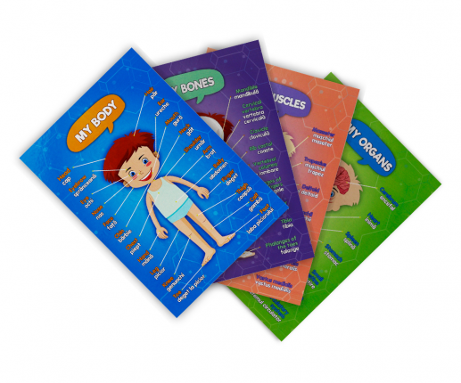 Анатомические системы - мальчик