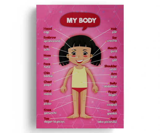 Anatomical systems - girl thumb-image 2