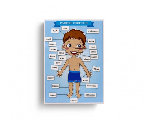 Părțile Corpului