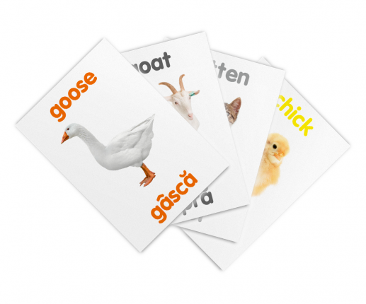 Animale domestice thumb-image 3