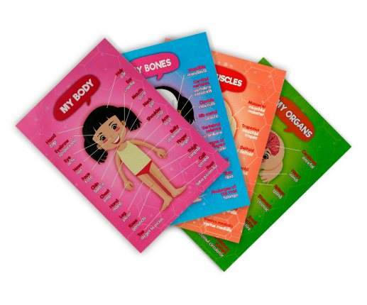 Анатомические системы -  девочка