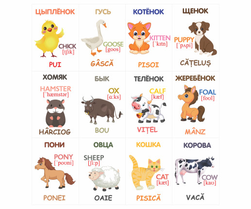 Cartonașe educative Animale domestice image 4