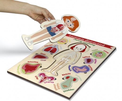 Anatomia distractivă - Organele interne - fetiță thumb-image 2