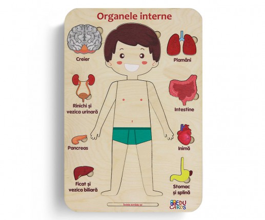 Combo Primul meu calendar thumb-image 4