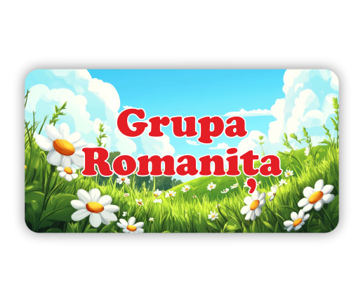 Табличка на дверь – Ромашка 2 image 1