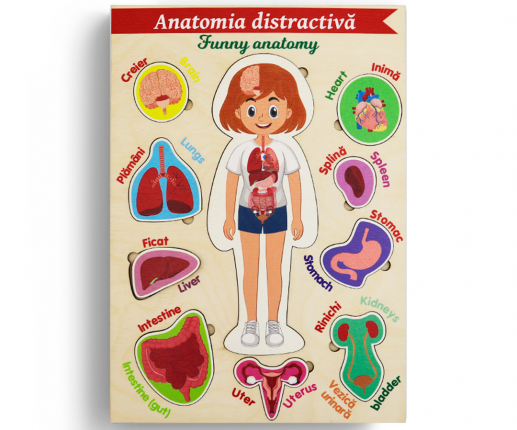 Anatomia distractivă - Organele interne - fetiță