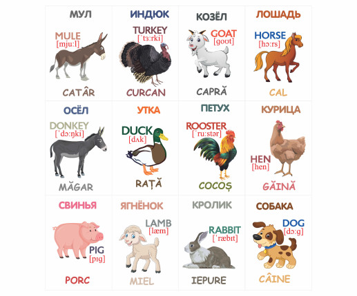 Cartonașe educative Animale domestice image 5