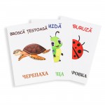 Cartonașe educative Insecte și reptile thumb-image 3