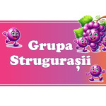 Табличка на дверь – Виноградик thumb-image 1