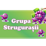 Placuță pentru ușă - Strugurel 1 thumb-image 1