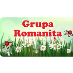 Табличка на дверь – Ромашка thumb-image 1