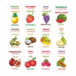 Cartonașe educative Fructe thumb-image 4