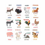 Cartonașe educative Animale domestice thumb-image 5